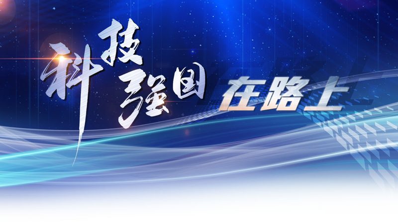 数据湖与数据仓库：本质差异及适用场景解析