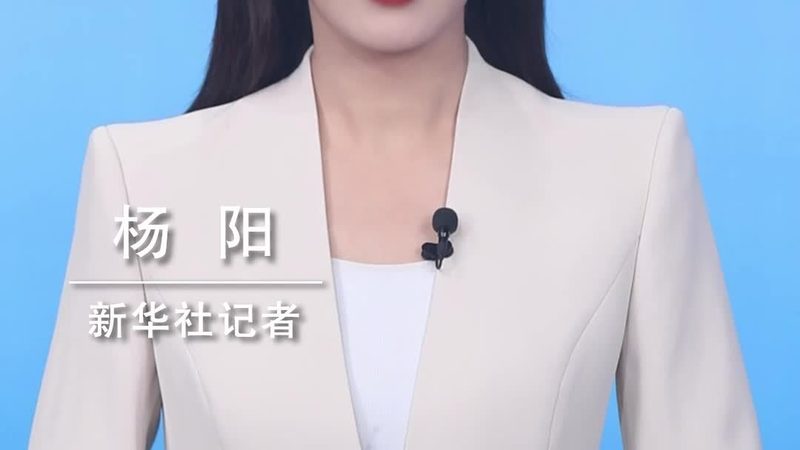 企业级搜索系统故障排查：上海企业的应对之道
